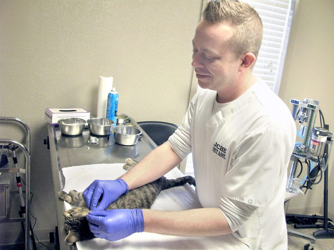 jefferson county humane society